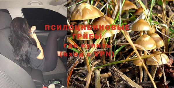 экстази Алексеевка